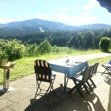 Grosse Mit Pool Sauna & Hallenbad In Bayerischer Wald * Hauzenberg